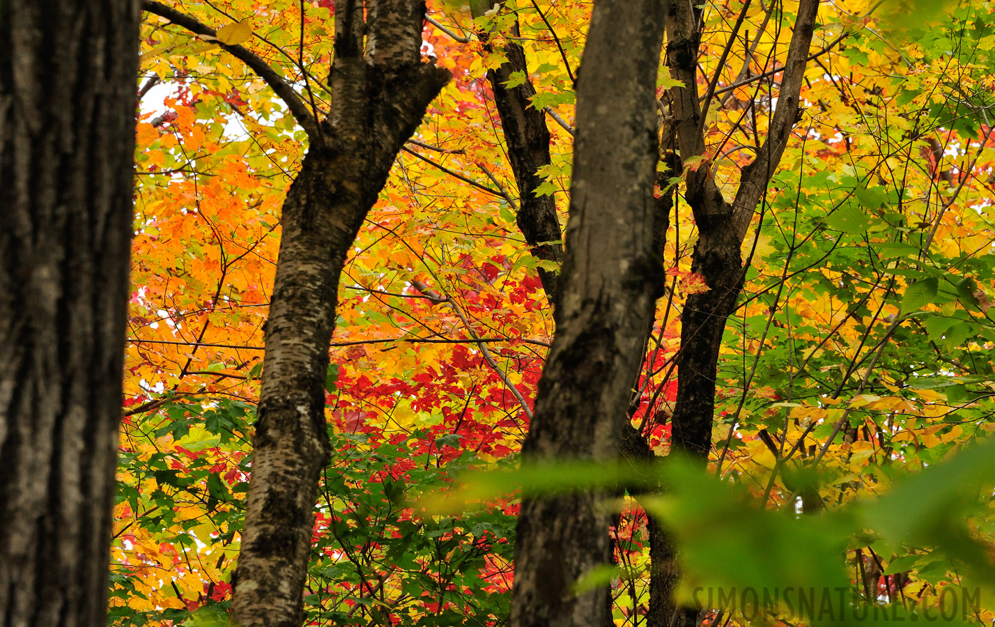 Jericho Mountain State Park [300 mm, 1/160 sec at f / 14, ISO 1600]